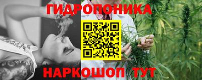 сатива Заволжье