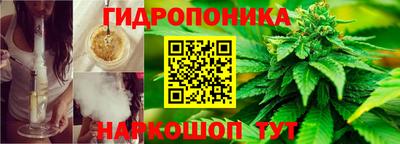 сатива Заволжье