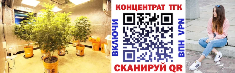мега tor  Петрозаводск  Дистиллят ТГК Wax  наркота 