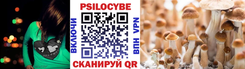 hydra сайт  Петрозаводск  Псилоцибиновые грибы прущие грибы 