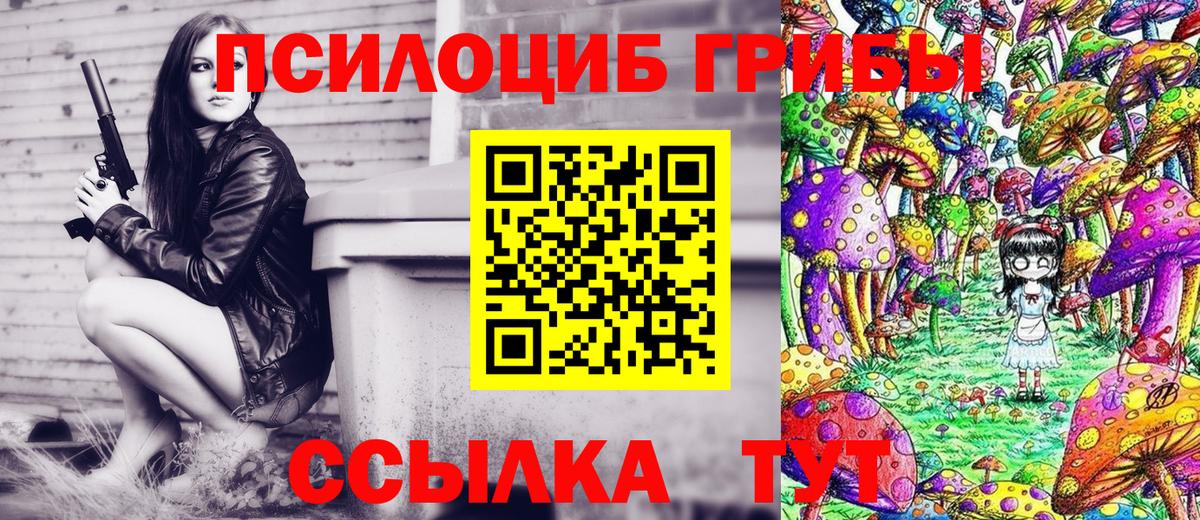 Псилоцибиновые грибы Psilocybe  Вход с VPN  Петрозаводск  Галлюциногенные грибы мицелий 