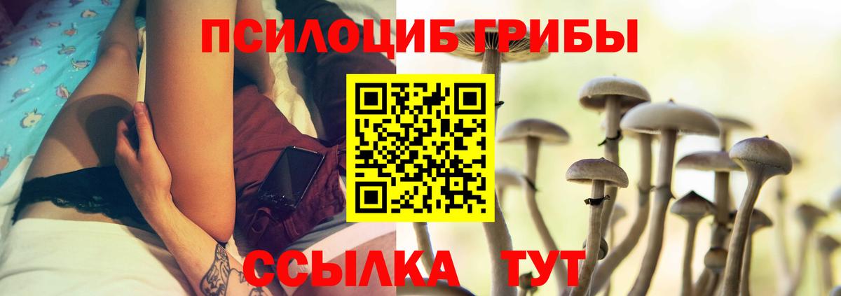 Псилоцибиновые грибы Magic Shrooms Петрозаводск